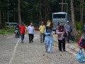 Tn PPTC 008